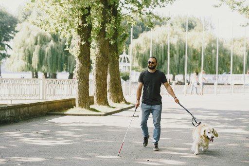 The Ultimate Guide to Dual Dog Leads: Enhance Your Walking Experience