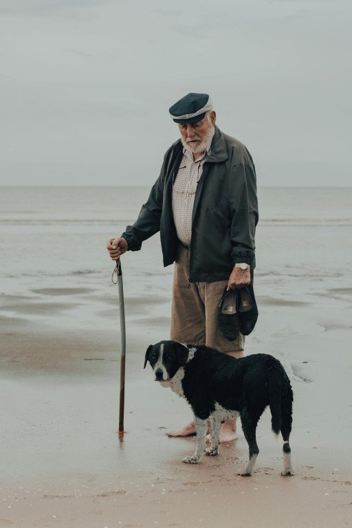 Elderly Dog Care: Understanding and Managing Vomiting in Senior Canines